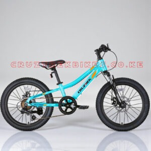 Kaiser Pro 2 Mountain Bike – Performance, Durability & All-Terrain Confidence